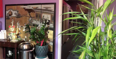 Masajistas en Germantown 2 masajista Annie Massage Spa en Germantown