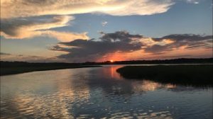 masajista Body Tonic Massage Therapy en Savannah