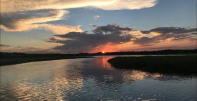 Masajistas en Savannah 4 masajista Body Tonic Massage Therapy en Savannah