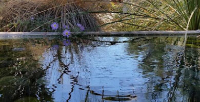 masajista Chillax Arizona en Phoenix