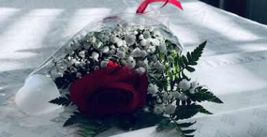 masajista Erica A Sloan LMT RMT en Charleston