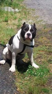 Massage Envy 2 masajista Jill Sarmento Therapeutic Massage en East Providence