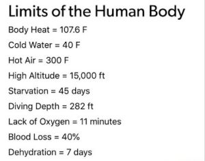 Taylor d Massage 3 masajista Maryah Massage en West Fargo