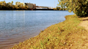 masajista Power Massage MN en Minneapolis