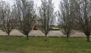 Nola Bliss Massage 5 masajista Rinnova Massage Therapy en New Orleans