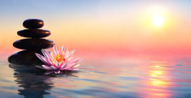 Masajistas en Rock Hill 3 masajista Sunrise Spa en Rock Hill