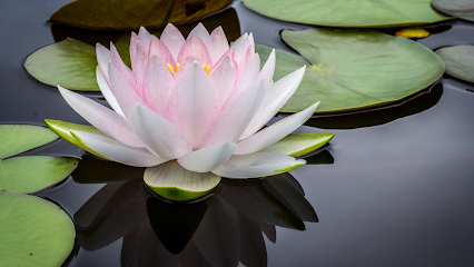The Lotus Center / Massage Therapy 1 masajista The Lotus Center / Massage Therapy en Colorado Springs