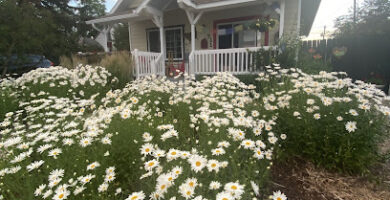 masajista YOUR JOURNEY bodywork en Bozeman